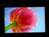 优派VX2835wm