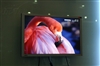 BenQ FP241W