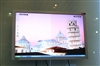 BenQ FP241W
