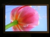 苹果M9177(20英寸)
