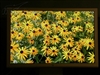 苹果M9177(20英寸)
