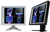 EIZO FlexScan L985EX