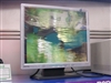 BenQ FP737s-D