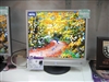 BenQ FP91V+