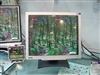 BenQ FP71G+