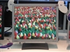 BenQ FP71G+S