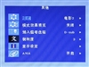 BenQ FP91V
