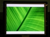 飞利浦190X6