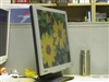 BenQ FP91GX