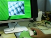 BenQ FP72V