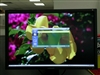 三星244T