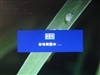 BenQ FP202W