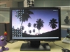 BenQ FP202W