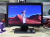 BenQ FP202W