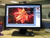 BenQ FP202W
