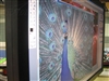BenQ FP202W
