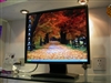 BenQ FP93G X