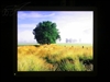 BenQ FP93V