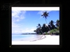 BenQ FP93V