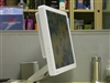 BenQ FP93V