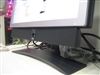 BenQ FP71W
