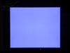 EIZO FlexScan P1700