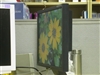 EIZO FlexScan P1700