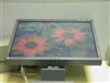 EIZO FlexScan P1700