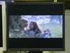 EIZO FlexScan P1700