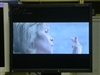 EIZO FlexScan P1700