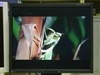 EIZO FlexScan P1700
