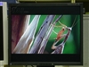EIZO FlexScan P1700