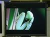 EIZO FlexScan P1700