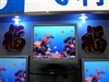 飞利浦190V6