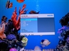 飞利浦190V6