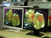 BenQ FP73G
