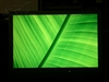 优派VA2012wb