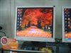 BenQ FP72E
