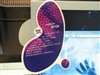 BenQ FP72E
