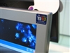 BenQ FP72E