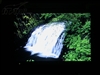 BenQ FP92W