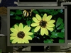 BenQ FP92W