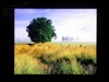 BenQ FP92E