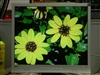BenQ FP92E