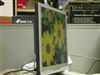 BenQ FP92E