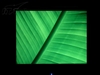 优派VG2021m