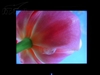 优派VG2021m
