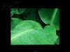 优派VG2021m