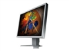 EIZO FlexScan S2100