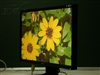 LG L194WT